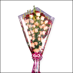 "Natraj  Album-20 sheetss-2+20 Roses Bunches-2 qty Size: 30cm*32 cm - Click here to View more details about this Product